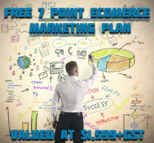 FREE 7 - Point Strategic eCommerce Marketing Plan